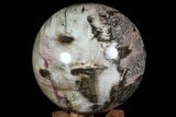 Colorful Petrified Wood Sphere - Madagascar #71439-1